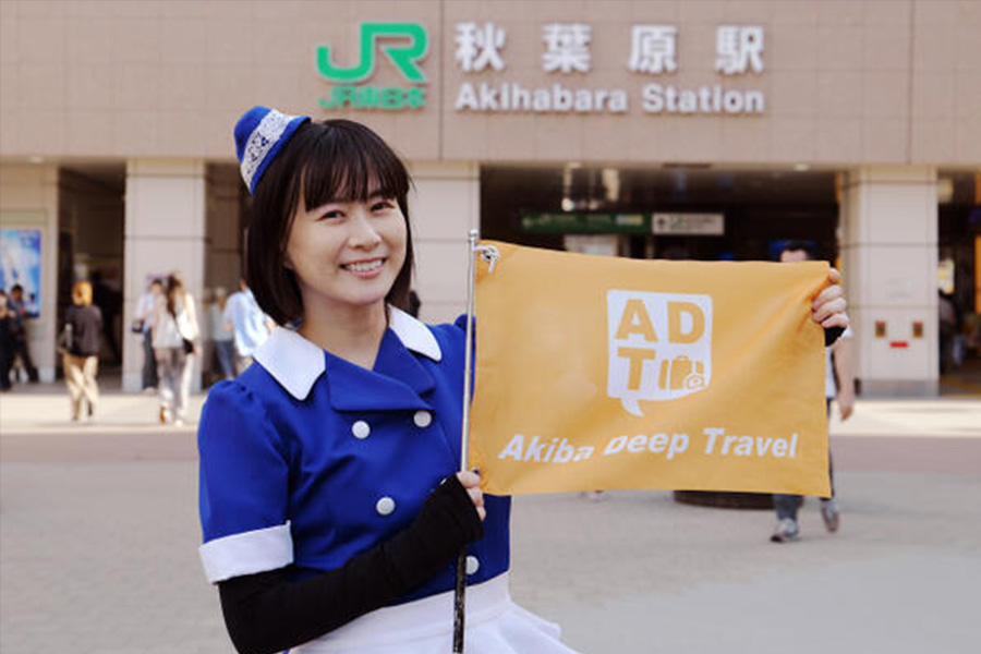 Thrilling & Fascinating Tour of Akihabara Deep Spots with Maid
