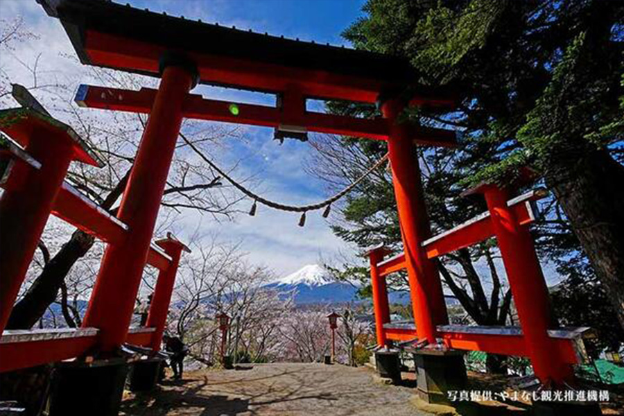 Mt. Fuji & Arakurayama Sengen Park Standard Lunch Course (Round Trip from Tokyo Sta. Area)