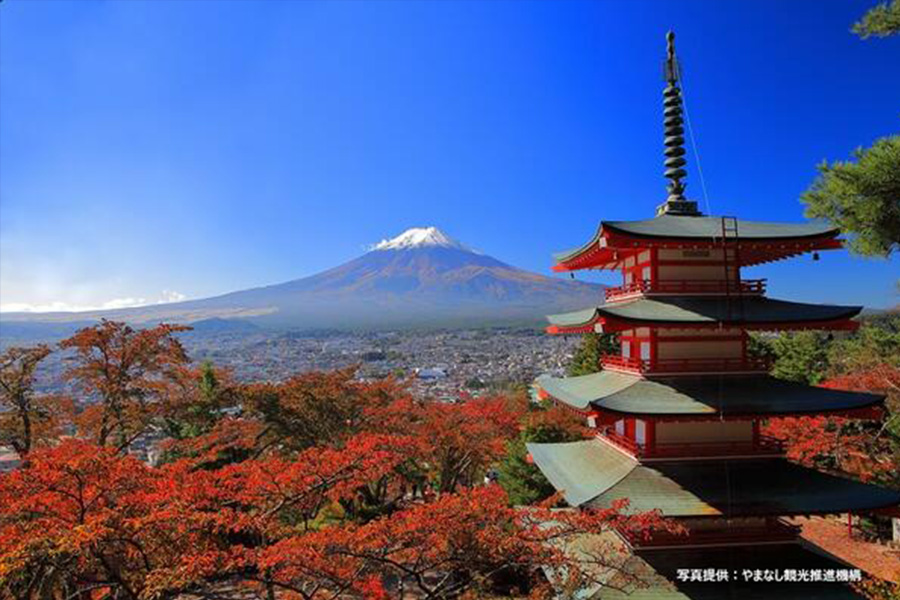 Mt. Fuji & Arakurayama Sengen Park Vegetarian Lunch Course (Round Trip from Tokyo Sta. Area)