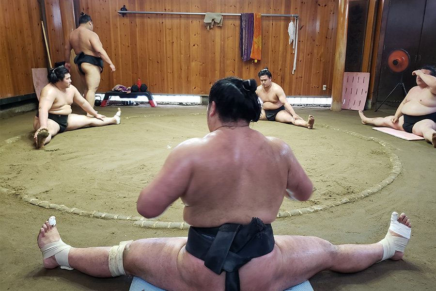Early Morning Sumo Stable Practice Viewing Guided Tour: Take Photos with Active Sumo Wrestlers(Meet at Tatsunami Stable) Image