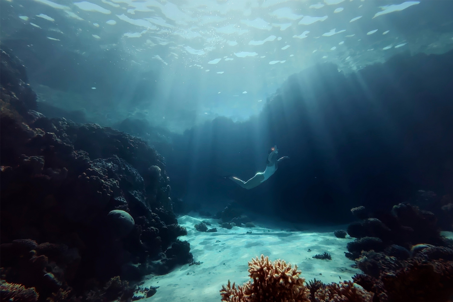 特別な日帰り旅行